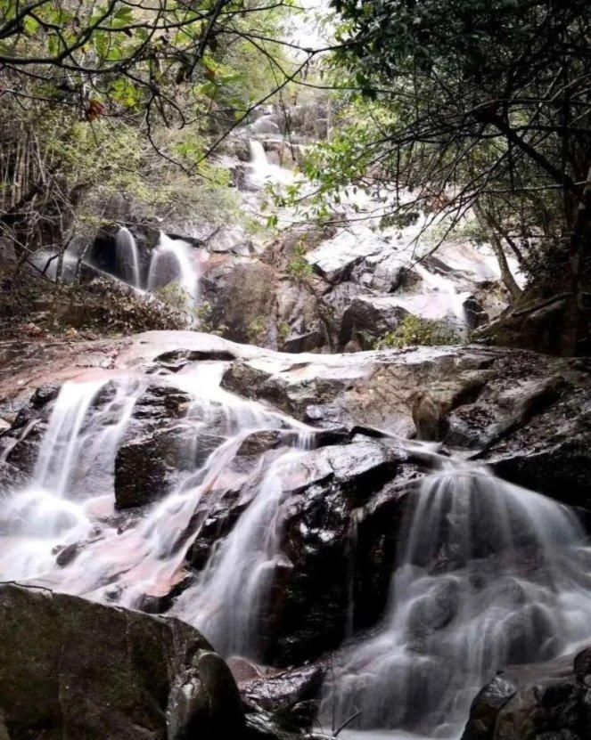 探索知识星球平台——假如世界上的人类都是骷髅 世界历史会怎么样专属的知识社群